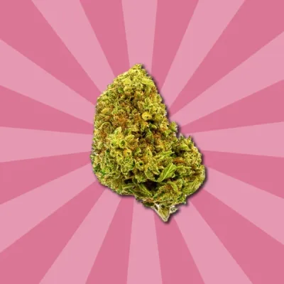 Flores CBD Cherry Kush