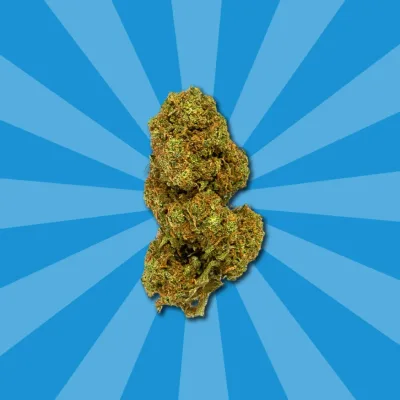 Flores CBD Orange Cookies