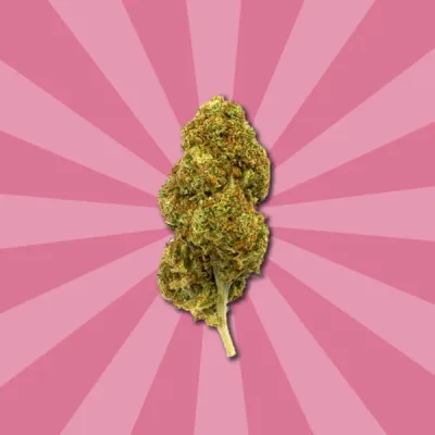 Flores CBD Strawberry