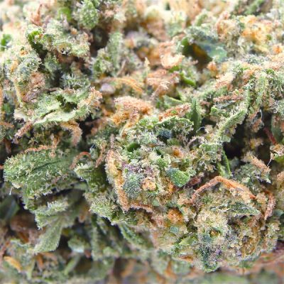Flores CBD Alchemy Amnesia