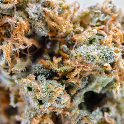 Flores CBD Alchemy Deep Amnesia