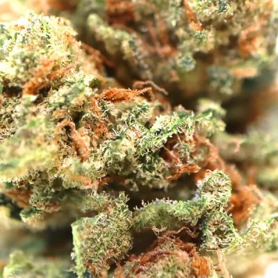 Flores CBD Alchemy Obi-Wan