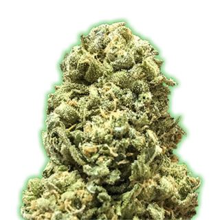 Semillas Feminizadas de Cannabis Monster Girl Scout Cookies