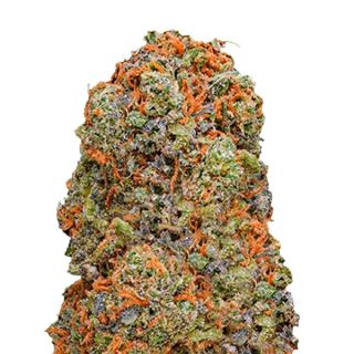 Semillas Feminizadas de Cannabis Monster Gelato