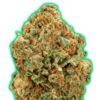 Semillas Feminizadas de Cannabis Monster Moby