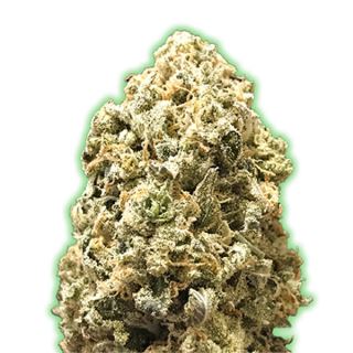 Semillas Feminizadas de Cannabis Monster Pebbles