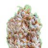 Semillas Feminizadas de Cannabis Monster Zkittles