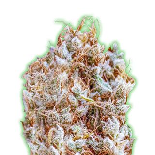 Semillas Feminizadas de Cannabis Monster Zkittles