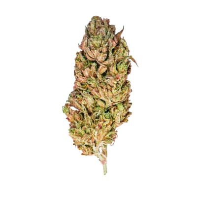 Semillas feminizadas Royal Queen Seeds de El Patron