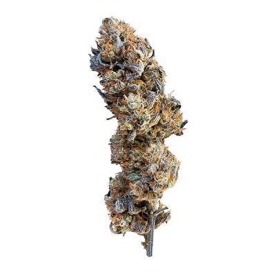 Semillas feminizadas Royal Queen Seeds de Mimosa