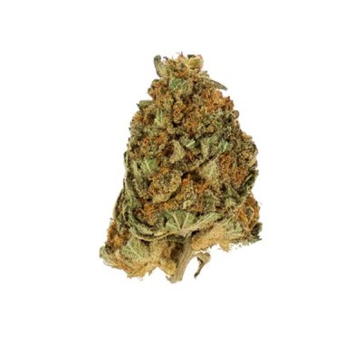 Semillas feminizadas Royal Queen Seeds de Northern Light