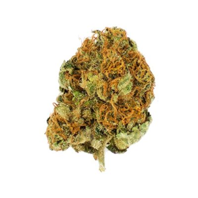 Semillas feminizadas Royal Queen Seeds de Royal Moby