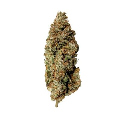 Semillas feminizadas Royal Queen Seeds de Royal Runtz