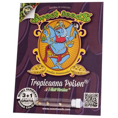 Tropicanna Poison F1 Fast Version