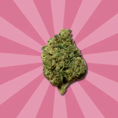 Flores CBD Banana GG