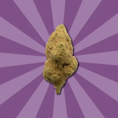 Flores CBD Moon Rock