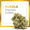 Flores CBD EUREKA