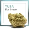 Flores CBD YUBA