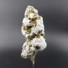 Flor Nevada CBD