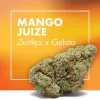 Flores CBD MANGO JUIZE (Zkittlez x Gelato)