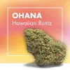Flores CBD OHANA (Hawaiian Runtz)