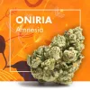 Flores CBD ONIRIA (Amnesia CBD) | CBD INDOOR