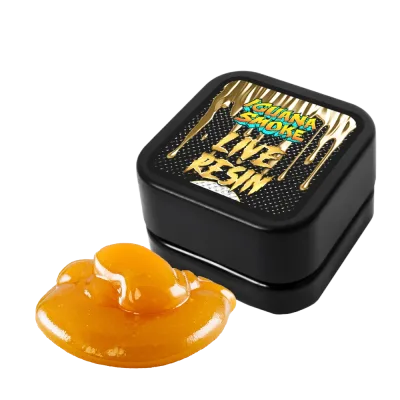 Live Resin CBD 84% con Live Terpenes