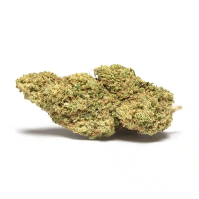Flores CBD MELLOW (MAC & Cheese)