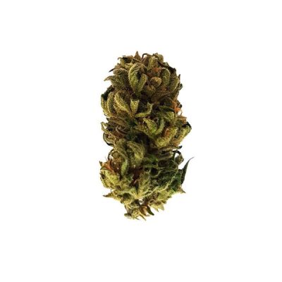 Semillas Royal Queen Seeds de Royal Kush Auto