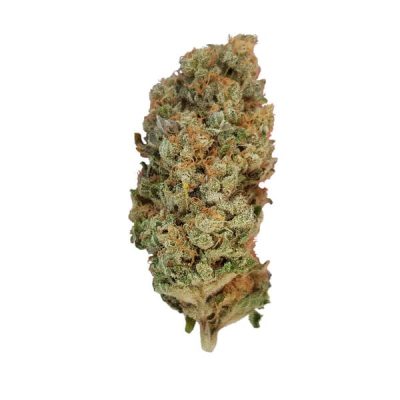 Semillas feminizadas Royal Queen Seeds de Special Queen 1