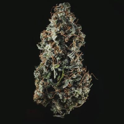 Semillas Royal Queen Seeds de Royal Haze Auto