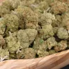 Flor CBD Jungle Kush flores Mini