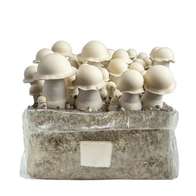 Kit de cultivo Bolsa Easy Grow 2 lt. Albino Monkey Mak