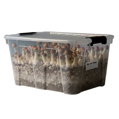 Kit de cultivo Monotube Doble Most Value Producer