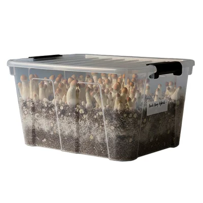 Kit de cultivo Monotube Doble Penis Envy Hybrid