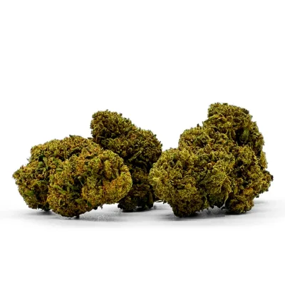 Flores La Catalana CBD Amnesia Glass CBD