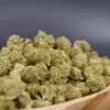 Flores CBD Gelato Royal Mini Buds Greenhouse de The Imperium
