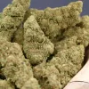 Flores CBD Greenhouse Premium Amanita de The Imperium