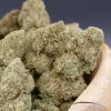 Flores CBD Greenhouse Premium Lemon Cheesecake de The Imperium