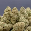 Flores CBD Greenhouse Premium Zkittlez de The Imperium