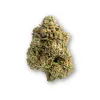 Flores CBD de Gorilla Berry de La Clandestina CBD
